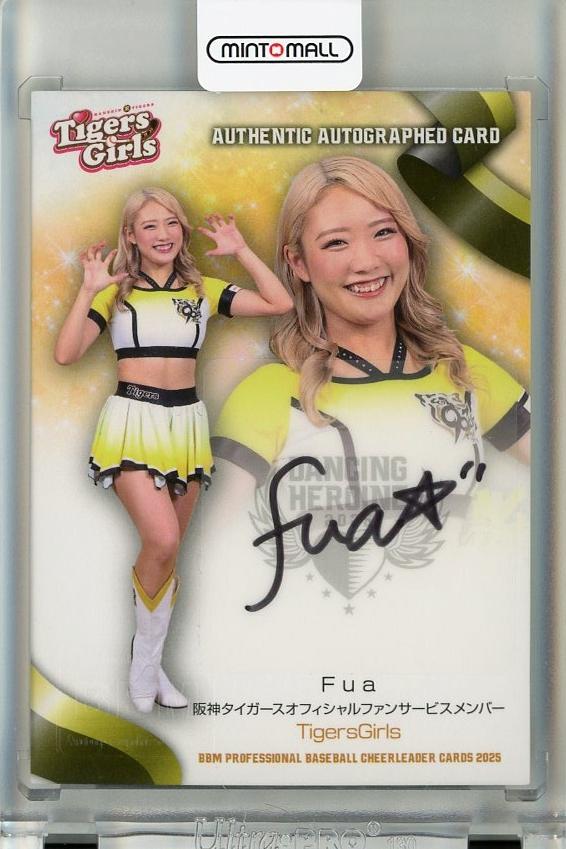 BBM 2025 チアリーダー 未開封 1box　ボックス MIZUKI＆NAGISA (中日/チアドラゴンズ2025)】BBM プロ野球チア