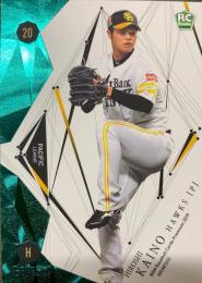 2019 BBM GENESIS 福岡ソフトバンク 甲斐野央 レギュラーカード グリーン版パラレル版 073/150