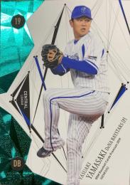 2019 BBM GENESIS 横浜 山康晃 レギュラーカード グリーン版パラレル版 138/150