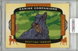 2018 UPPER DECK Goodwin Champions  Scottish Terrier Manufactured Canine Companions Patch