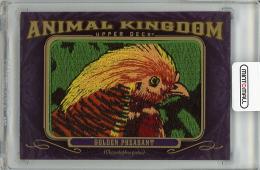 【上部若干へこみ傷あり】2012 UPPER DECK Goodwin Champions  Golden Pheasant Manufactured Animal Kingdom Patch