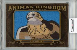 2013 UPPER DECK Goodwin Champions  Red Goshawk Manufactured Animal Kingdom Patch