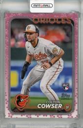 2024 Topps Japan Edition Colton Cowser Cherry Blossoms #66 RC【30/99】 Baltimore Orioles