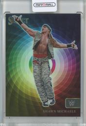 2023 Panini Select WWE  Shawn Michaels Color Wheel #8