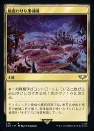 【40K】【JPN】《風変わりな果樹園/Exotic Orchard》