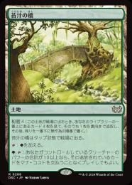 【DSC】【JPN】〈288-R-L〉《苔汁の橋/Mosswort Bridge》