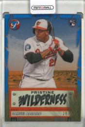 2026 Topps Pristine Samuel Basallo Pristine Wilderness Blue Refractor #PW5【28/75】 Baltimore Orioles