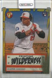 2026 Topps Pristine Samuel Basallo Pristine Wilderness Gold Refractor #PW5【01/50】 Baltimore Orioles