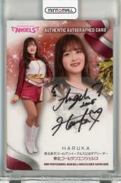 BBM チアリーダー 2025 HARUKA 直筆サインカード【12/89】