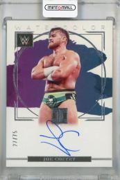 2023 Panini Impeccable WWE Joe Coffey Watercolor Signatures #9 Auto【27/75】 NXT