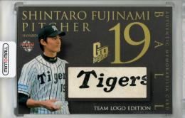2016 BBM Go Higher 藤浪晋太郎 ボールカード チームロゴエディション【20/25】 阪神タイガース