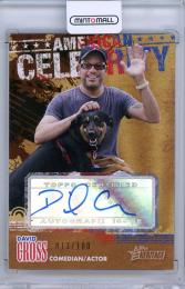 2009 TOPPS American Heritage David Cross American Celebrity Autographs #DC Comedian/Actor