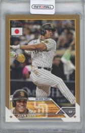 2023 TOPPS Japan Gold #50 / JUAN SOTO(San Diego Padres) 【13/25】