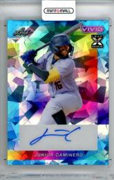 2023 Leaf Vivid Baseball Junior Caminero #BA-JC1 Base Autograph Crystal Teal Parallel【1/1】《1of1》 Rays