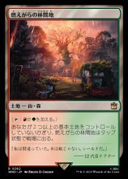 【WHO】【JPN】【Foil】《燃えがらの林間地/Cinder Glade》