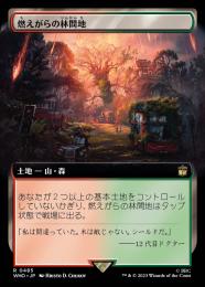 【WHO】【JPN】【Foil】《燃えがらの林間地/Cinder Glade》 拡張アート版