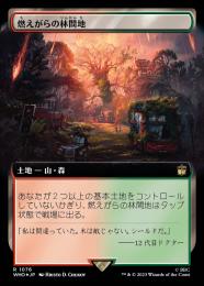 【WHO】【JPN】【サージ・Foil】《燃えがらの林間地/Cinder Glade》 拡張アート版