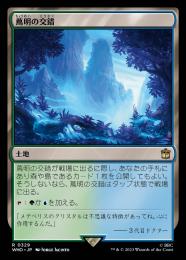 【WHO】【JPN】【Foil】《蔦明の交錯/Vineglimmer Snarl》