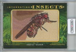 2022 Upper Deck Goodwin Champions  Fruit Flies Interesting Insects Patches IP-20