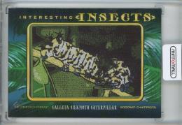 2022 Upper Deck Goodwin Champions  Calleta Silkmoth Caterpillar Interesting Insects Patches IP-57