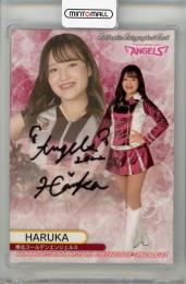 2022 BBM チアリーダーカード DANCING HEROINE -華- TOHOKU GOLDEN ANGELS 直筆サインカード HARUKA 【85/90】