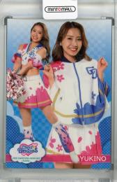 2021 BBM チアリーダー DANCING HEROINE -華- Cheer Dragons YUKINO レギュラーカード ホロPP版 (パラレル版)