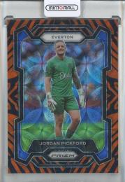 2023-24 Panini Prizm Premier League Jordan PickFord Tiger Stripe Choice Prizms #255 Everton