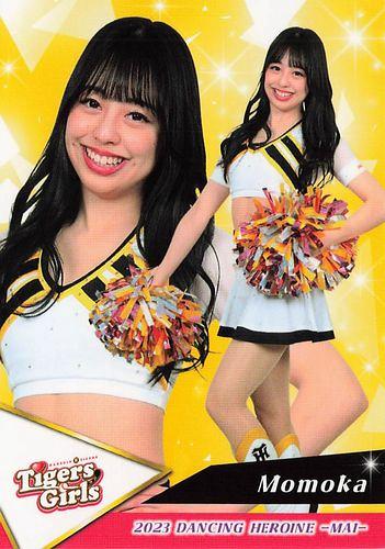 ミントモール / MINT BASE店 (TCシングル通販) / 2023 BBM プロ