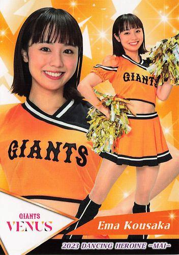 ミントモール / MINT BASE店 (TCシングル通販) / 2023 BBM プロ