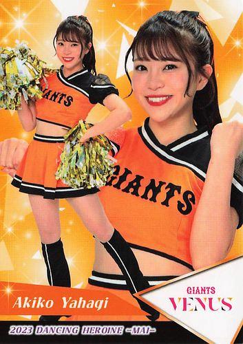 矢作明子 ジャイアンツ VENUS BBM プロ野球チアリーダーカード