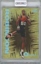1994-95 FLEER Emotion N-Tense / DAVID ROBINSON(San Antonio Spurs)