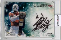 BBM インフィニティ 2019  BUSHI 直筆サインカード 21/90