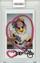 2022 BBM チアリーダー華 Honeys ハニーホーク チェキ 10枚限定 /10 ラストナンバー
