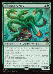 【FDN】【JPN】【Foil】《苔生まれのハイドラ/Mossborn Hydra》