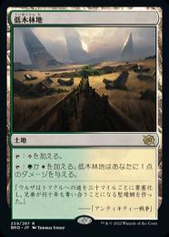 定番 ミントモール / MINT GAMES MTG(東日本橋) / 【LTC】【ENG マジック：ザ・ギャザリング