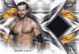 2019 Topps WWE Undisputed Wrestling  WWE Adam Cole Undisputed Relic 24/99