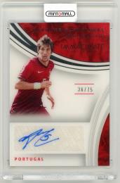 2017 Panini Immaculate Collection Fabio Coentrao Marquee Signatures【36/75】 Portugal