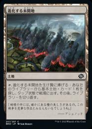 【BRO】【JPN】【Foil】《進化する未開地/Evolving Wilds》