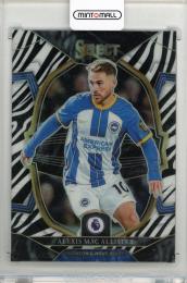 2022-23 PANINI Select English Plemier League Alexis Mac Allister Zebra #25【02/25】 Brighton & Hove Albion