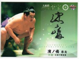 2015 BBM 大相撲LEGEND 至宝  濱ノ嶋啓志 直筆サインカード 37/60