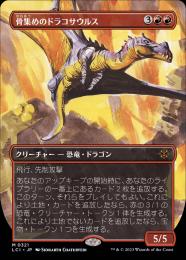 【LCI】【JPN】《骨集めのドラコサウルス/Bonehoard Dracosaur》ボーダーレス版