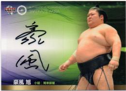 2015 BBM 大相撲  豪風旭 直筆サインカード 31/60