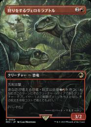 【REX】【JPN】【Foil】《狩りをするヴェロキラプトル/Hunting Velociraptor》