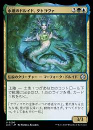 【LCC】【JPN】《水底のドルイド、タトヨヴァ/Tatyova, Benthic Druid》