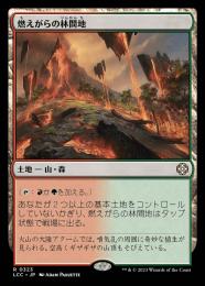 【LCC】【JPN】《燃えがらの林間地/Cinder Glade》