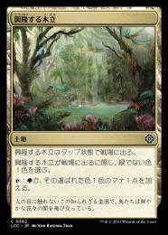 【LCC】【JPN】《興隆する木立/Thriving Grove》