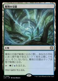 【LCC】【JPN】《蔦明の交錯/Vineglimmer Snarl》