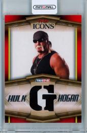 2010 TRISTAR TNA Icons  Hulk Hogan Die-Cut Letter Memorabilia Silver #HH3 165/199