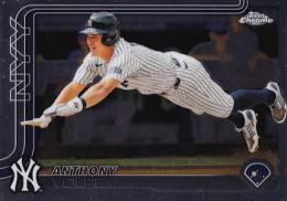 2025 Topps Chrome MLB #162 Anthony Volpe レギュラーカード
