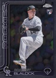 メジャーリーグカード（金属カード） メジャーリーグカード（金属カード）